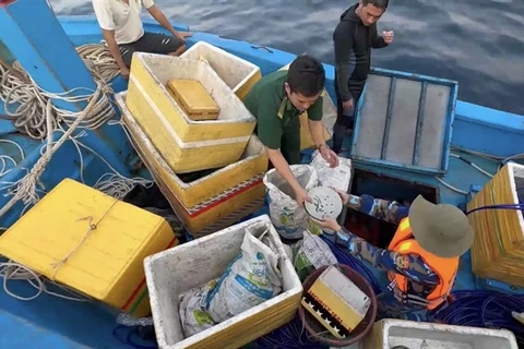 Lực lượng chức năng thu giữ hiện vật do ngư dân khai thác trái phép tại vùng biển thôn Phước Thiện, xã Bình Hải. (Nguồn: Báo Văn hóa)