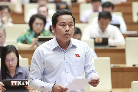 Đại biểu Quốc hội tỉnh Bà Rịa-Vũng Tàu Dương Tấn Quân phát biểu ý kiến. (Ảnh: Doãn Tấn/TTXVN)