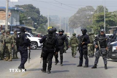 Cảnh sát và binh sỹ Mexico tại hiện trường vụ đấu súng với một băng đảng tội phạm ở Guerrero. (Ảnh: AFP/TTXVN)