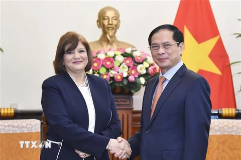 Bộ trưởng Ngoại giao Bùi Thanh Sơn tiếp Đại sứ Ai Cập tại Việt Nam Amal Abdel Kader Elmorsi Salama. (Ảnh: TTXVN phát)