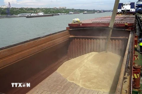 Lúa mỳ được chuyển lên tàu tại cảng quốc tế Rostov-on-Don để vận chuyển tới Thổ Nhĩ Kỳ. (Ảnh: AFP/TTXVN)