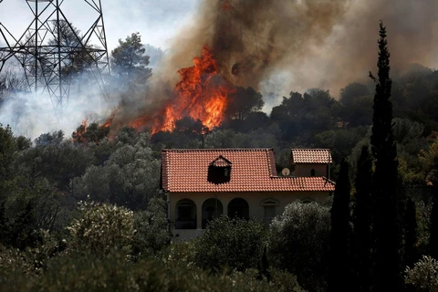 Một đám cháy rừng ở Hy Lạp. (Nguồn: Reuters)