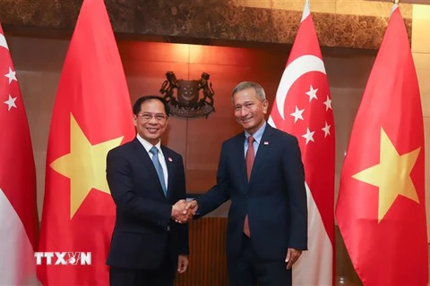 Bộ trưởng Ngoại giao Việt Nam Bùi Thanh Sơn và Bộ trưởng Ngoại giao Singapore Vivian Balakrishnan. (Ảnh: TTXVN phát)