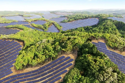 Một trang trại năng lượng Mặt Trời tại Nhật Bản. (Nguồn: Inhabitat)