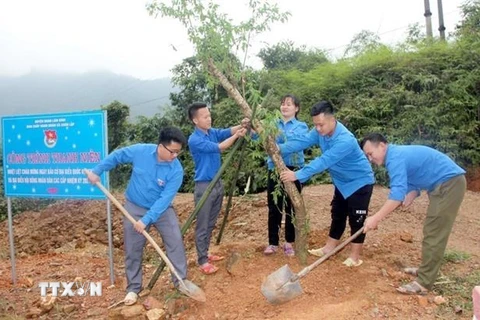 Bí thư Đoàn xã Xuân Lập Lò Tiến Hướng (ngoài cùng bên trái) cùng đoàn viên tham gia hưởng ứng phong trào Tết trồng cây. (Ảnh: TTXVN phát)