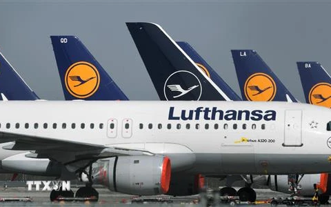 Máy bay của Hãng hàng không Lufthansa tại sân bay Frankfurt, Đức. (Ảnh: AFP/TTXVN)