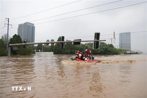 Lực lượng cứu hộ sơ tán người dân khỏi khu vực ngập lụt do mưa lớn ở Trác Châu, Bảo Định, tỉnh Hà Bắc (Trung Quốc) ngày 2/8. (Ảnh: AFP/TTXVN)