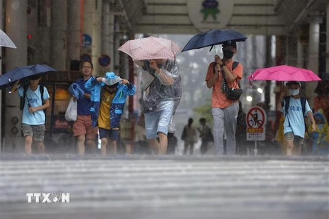 Bão Khanun đổ bộ gây mưa lớn tại thành phố Kagoshima, Tây Nam Nhật Bản ngày 8/8. (Ảnh: Kyodo/TTXVN)