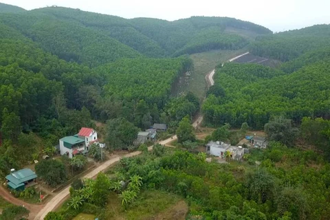 Hạ tầng giao thông được đầu tư giúp người dân xã Lương Mông (huyện Ba Chẽ) phát triển kinh tế rừng. (Nguồn: Cổng thông tin điện tử tỉnh Quảng Ninh)