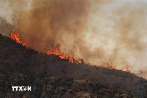 Khói lửa bốc lên từ đám cháy rừng tại Soledad Canyon, California, Mỹ, ngày 25/7. (Ảnh: AFP/TTXVN)