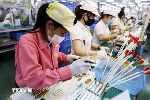 Dây chuyền sản xuất, lắp ráp linh kiện cho bếp gas của Công ty TNHH Paloma Việt Nam (vốn đầu tư của Nhật Bản) tại Khu Công nghiệp Đô thị VSIP Hải Phòng. (Ảnh: Danh Lam/TTXVN)