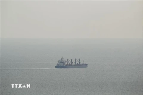 Tàu chở hàng rời cảng Odessa của Ukraine thông qua hành lang tạm thời. (Ảnh: AFP/TTXVN)