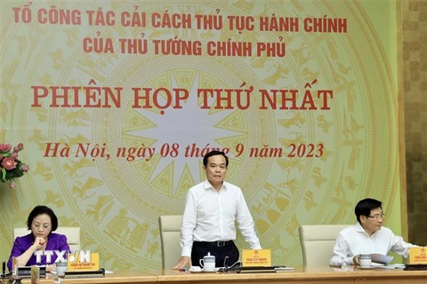 Phó Thủ tướng Trần Lưu Quang, Tổ trưởng Tổ công tác, phát biểu. (Ảnh: Lâm Khánh/TTXVN)