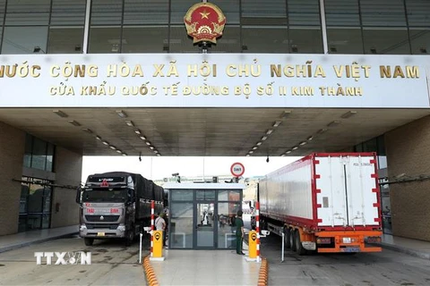 Xe chở quả vải tươi chờ làm thủ tục tại Cửa khẩu Quốc tế Đường bộ số 2 Kim Thành xuất khẩu sang Trung Quốc. (Ảnh: Quốc Khánh/TTXVN)