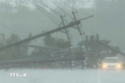 Các cột điện bị quật đổ trong gió lớn gây ra bởi bão Koinu ở huyện Bình Đông, vùng lãnh thổ Đài Loan, Trung Quốc. (Ảnh: AFP/TTXVN)