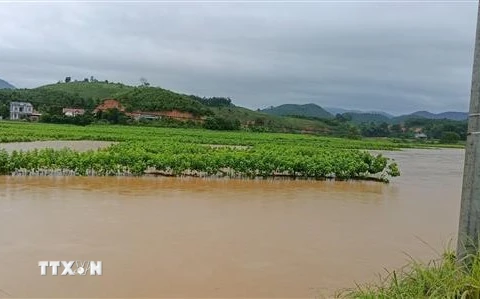 Mưa lớn, lũ quét, sạt lở đất gây nhiều thiệt hại tại nhiều địa phương