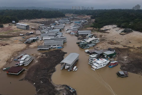 Mực nước sông Amazon xuống mức thấp kỷ lục trong hơn một thế kỷ qua. (Nguồn: Reuters)