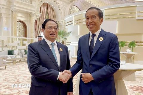 Thủ tướng Phạm Minh Chính gặp Tổng thống Indonesia Yoko Widodo. (Ảnh: TTXVN)