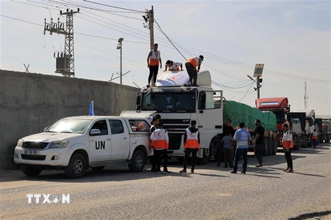 Đoàn xe chở hàng viện trợ nhân đạo đi qua cửa khẩu Rafah từ Ai Cập vào Dải Gaza. (Ảnh: AFP/TTXVN)