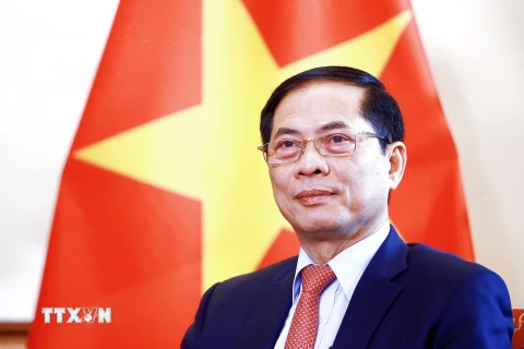Bộ trưởng Ngoại giao Bùi Thanh Sơn. (Ảnh: TTXVN/phát)