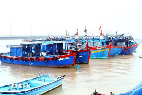Hiện tỉnh Quảng Bình có 1.124 tàu cá từ 15m trở lên đang hoạt động lắp đặt thiết bị giám sát hành trình tàu cá (đạt 96,2%). (Ảnh: Tá Chuyên/TTXVN)