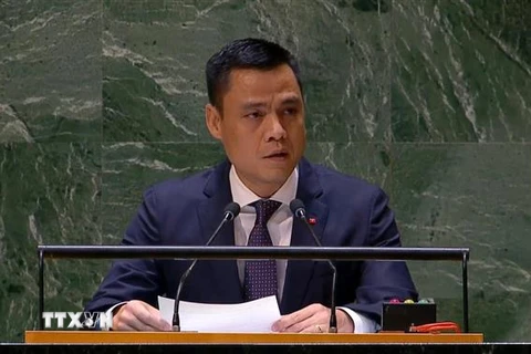 Đại sứ Đặng Hoàng Giang, Trưởng Phái đoàn thường trực Việt Nam tại Liên hợp quốc, phát biểu tại một phiên họp của Đại hội đồng Liên hợp quốc. (Ảnh: TTXVN phát)
