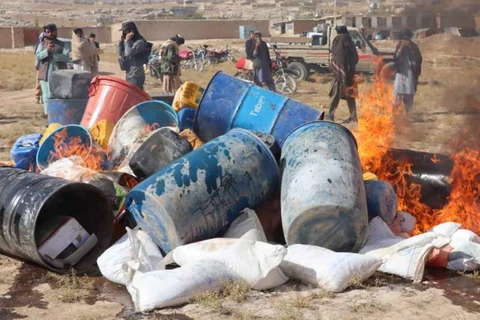 Thiêu hủy ma túy tại tỉnh Daykundi. (Nguồn: Pajhwok)