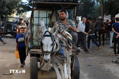 Người dân vận chuyển nước sinh hoạt tại Khan Younis, Dải Gaza. (Ảnh: THX/TTXVN)