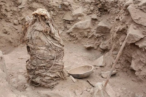 Xác ướp mới được khai quật. (Nguồn: Reuters)