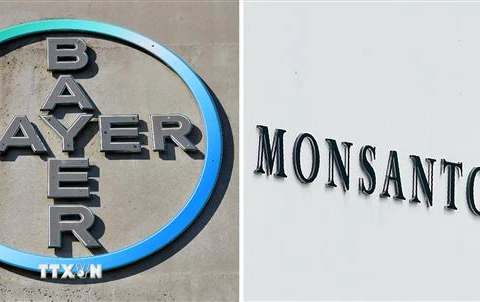 Biểu tượng Bayer và Monsanto. (Ảnh: AFP/TTXVN)