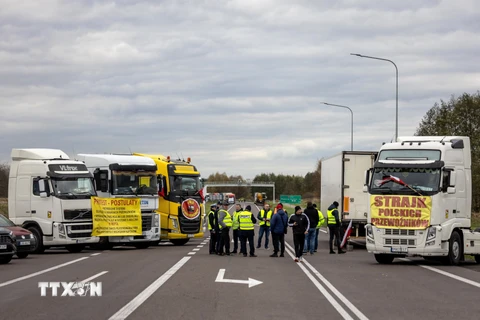Các tài xế và chủ hãng vận tải dùng xe tải chặn ở cửa khẩu Dorohusk, biên giới Ba Lan - Ukraine. (Ảnh: AFP/TTXVN) 