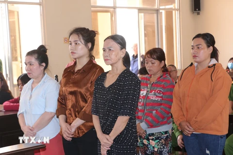 Tòa án Nhân dân tỉnh Bạc Liêu tổ chức xét xử sơ thẩm đường dây dụ dỗ, tổ chức đưa 11 phụ nữ Việt Nam gả bán cho người Trung Quốc trái phép. (Ảnh: Tuấn Kiệt/TTXVN)