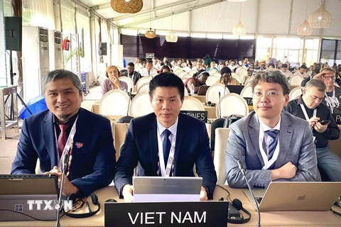 Đoàn Việt Nam tham dự tại phiên họp thứ 18 Ủy ban liên Chính phủ Công ước 2003. (Ảnh: TTXVN phát) 