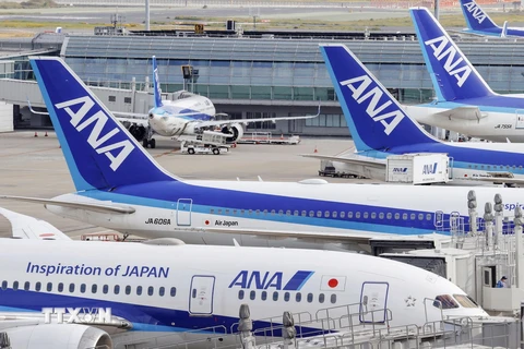 Trong ảnh: Máy bay của Hãng hàng không Nhật Bản All Nippon Airways tại sân bay Haneda ở Tokyo. (Ảnh: KYODO/TTXVN)