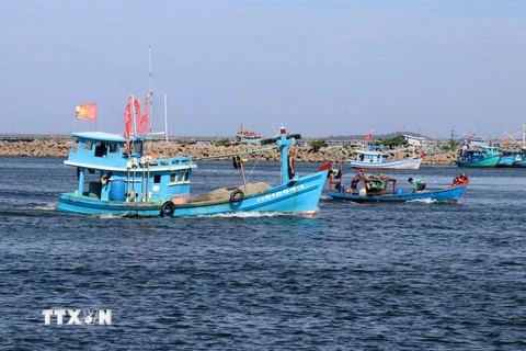 Tàu cá ở cửa sông Dương Đông, thành phố Phú Quốc (Kiên Giang). (Ảnh: Lê Huy Hải/TTXVN)