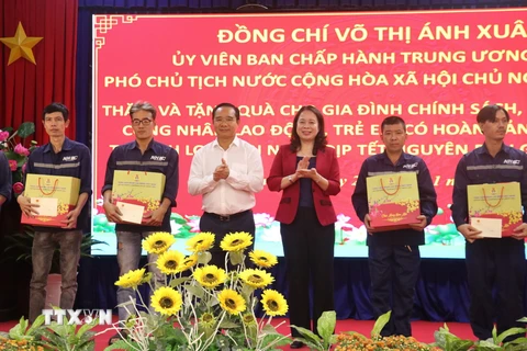 Phó Chủ tịch nước Võ Thị Ánh Xuân tặng 600 phần quà tết cho gia đình chính sách, hộ nghèo, công nhân, người lao động và trẻ em có hoàn cảnh khó khăn tại tỉnh Long An. (Ảnh: Bùi Giang/TTXVN)