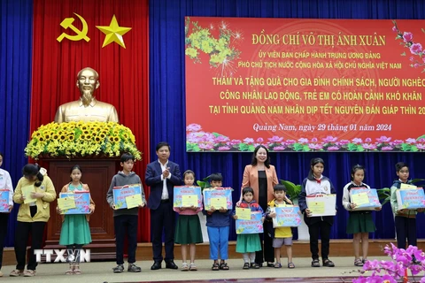 Phó Chủ tịch nước Võ Thị Ánh Xuân tặng quà gia đình chính sách tỉnh Quảng Nam. (Ảnh: Trần Tĩnh/TTXVN)