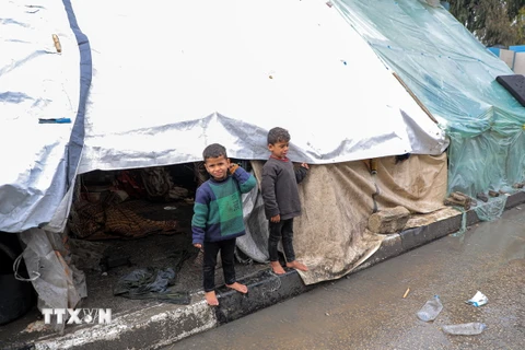 Trẻ em tại trại tị nạn ở thành phố Rafah, Dải Gaza. (Ảnh: THX/TTXVN)