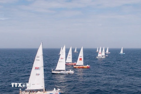 Những đội thuyền đầu tiên của Giải đua thuyền buồm vòng quanh thế giới Clipper Race mùa giải 2023-2024. (Ảnh: TTXVN phát)