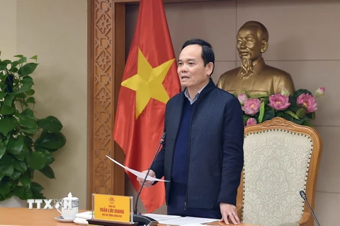Phó Thủ tướng Trần Lưu Quang phát biểu. (Ảnh: TTXVN)