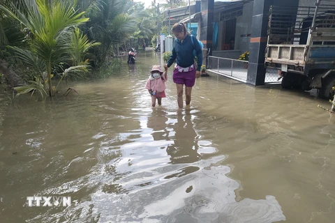 Triều cường gây ngập nước ảnh hưởng đến đời sống người dân. (Ảnh: Huỳnh Phúc Hậu/TTXVN)