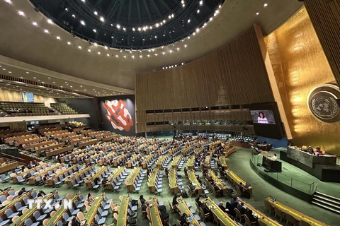 Toàn cảnh một phiên họp Đại hội đồng Liên hợp quốc. (Ảnh: Thanh Tuấn/TTXVN)