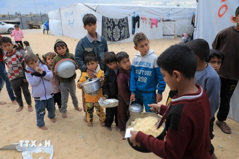 Trẻ em Palestine chờ nhận thực phẩm cứu trợ tại thành phố Rafah, Dải Gaza. (Ảnh: THX/TTXVN)