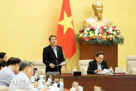 Phó Chủ tịch Quốc hội Nguyễn Đức Hải điều hành phiên họp. (Ảnh: An Đăng/TTXVN)