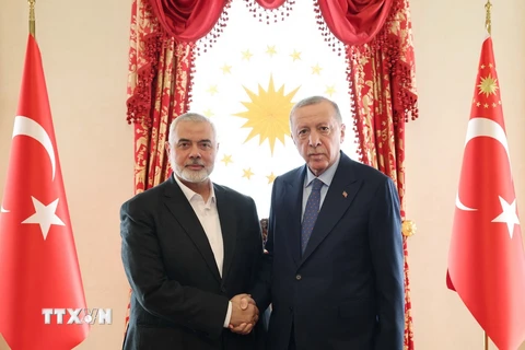 Tổng thống Thổ Nhĩ Kỳ Recep Tayyip Erdogan (phải) và thủ lĩnh Phong trào Hồi giáo Hamas Ismail Haniyeh tại cuộc gặp ở Istanbul, Thổ Nhĩ Kỳ. (Ảnh: AFP/TTXVN)