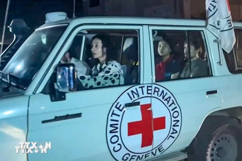 Xe của Ủy ban Chữ thập Đỏ quốc tế (ICRC) tiếp nhận các con tin được Phong trào Hồi giáo Hamas trả tự do sau thỏa thuận ngừng bắn tại Gaza, ngày 24/11/2023. (Ảnh: AFP/TTXVN)