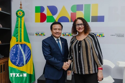 Đại sứ Việt Nam tại Brazil Bùi Văn Nghị và Bộ trưởng Khoa học, Công nghệ và Đổi mới sáng tạo Luciana Santos tại buổi làm việc. (Ảnh: Đại sứ quán Việt Nam tại Brazil)