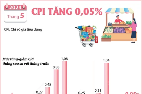 Chỉ số giá tiêu dùng của cả nước trong tháng 5 tăng 0,05%