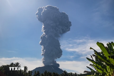 Cột tro bụi phun lên từ miệng núi lửa Ibu ở tỉnh Bắc Maluku, Indonesia. (Ảnh: AFP/TTXVN)