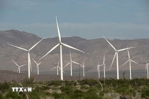 Các tuốcbin sản sinh điện gió hoạt động tại California, Mỹ. (Ảnh: Reuters/TTXVN)